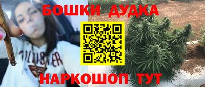 крисы Волжский