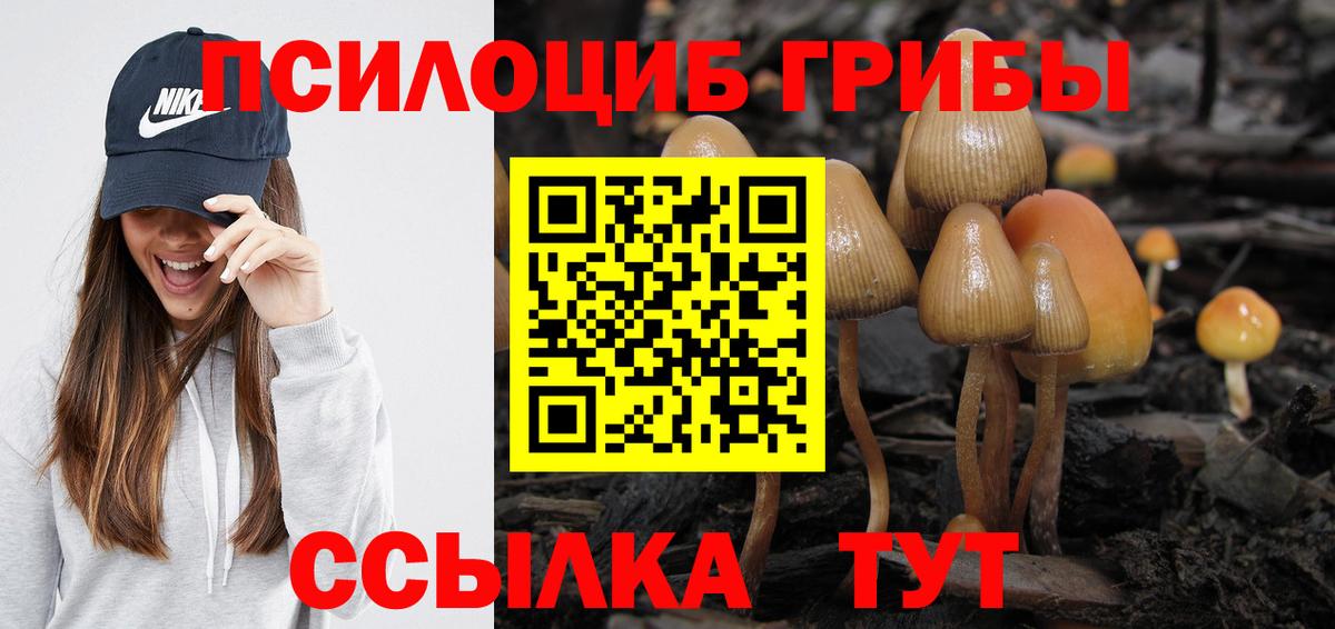Галлюциногенные грибы Psilocybine cubensis Дивногорск